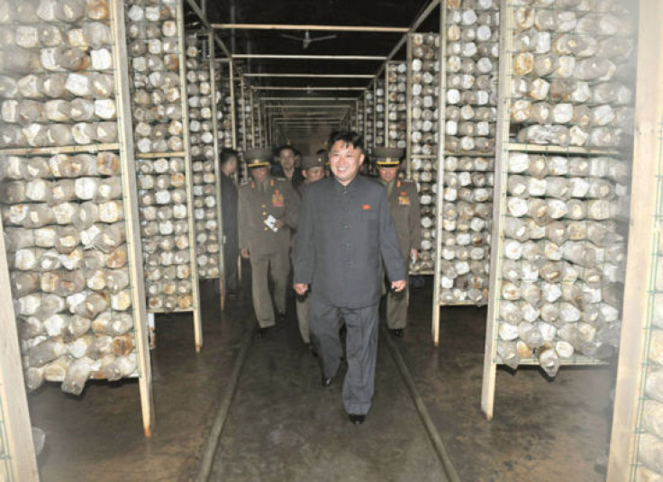 North Korean mushroom farm