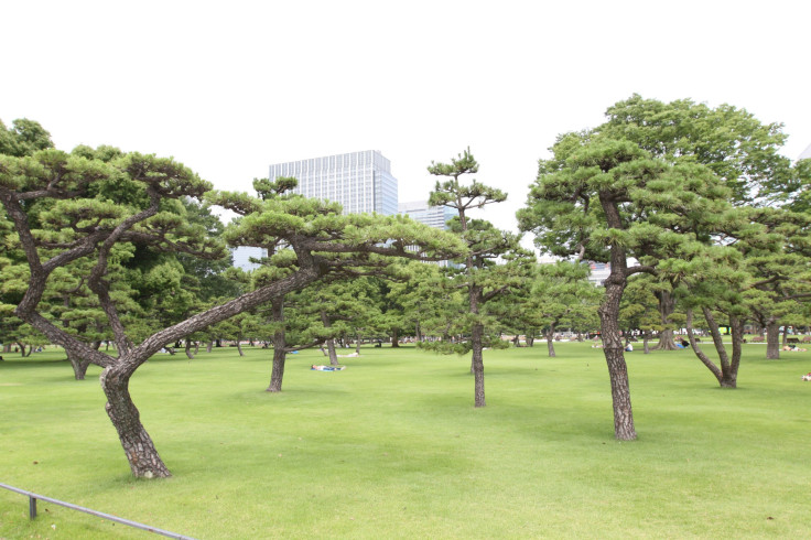 Imperial Palace Grounds