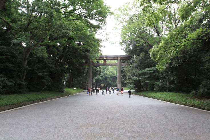 Meiji Shrine Tori