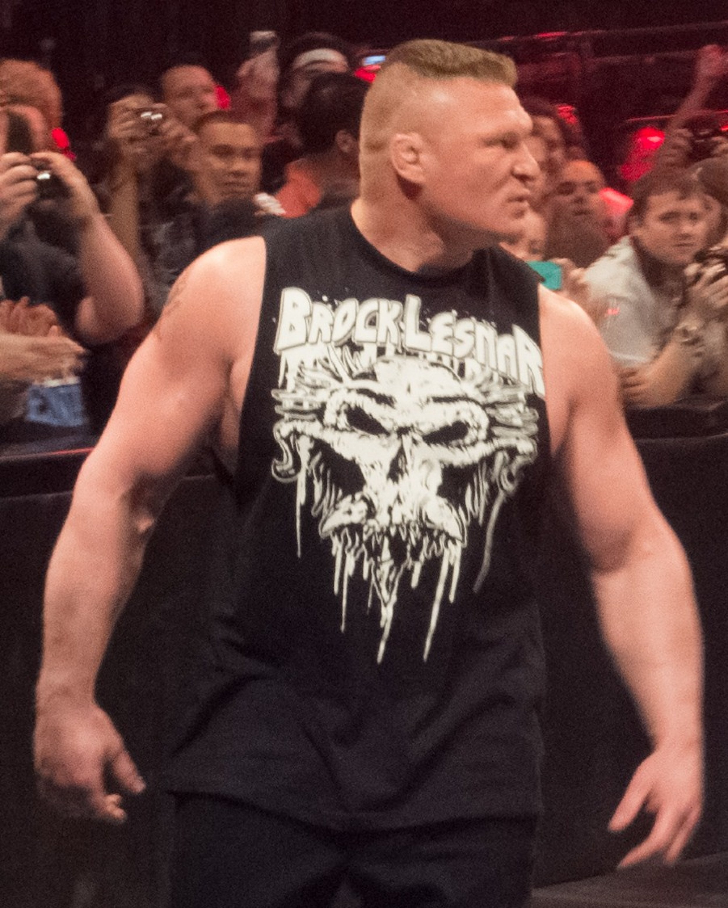 brock lesnar and his wife