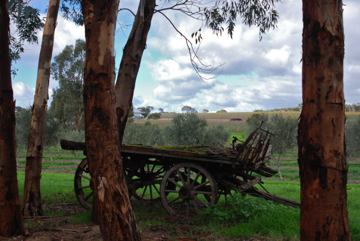 Barossa Valley Australia