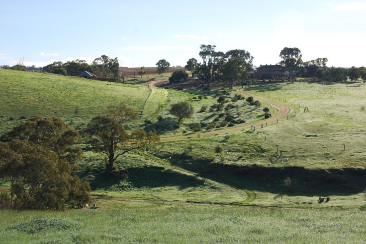 Kingsford Homestead