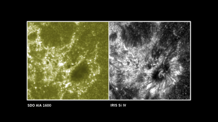 First IRIS Image Of The Sun