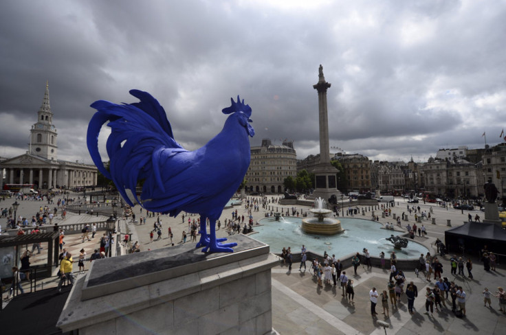 Giant Blue Rooster 
