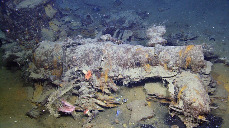 Monterrey Shipwreck Cannon