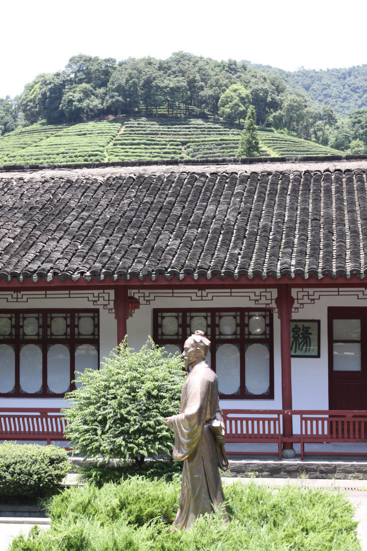 Mei Jia Wu Long Jing Tea Plantation