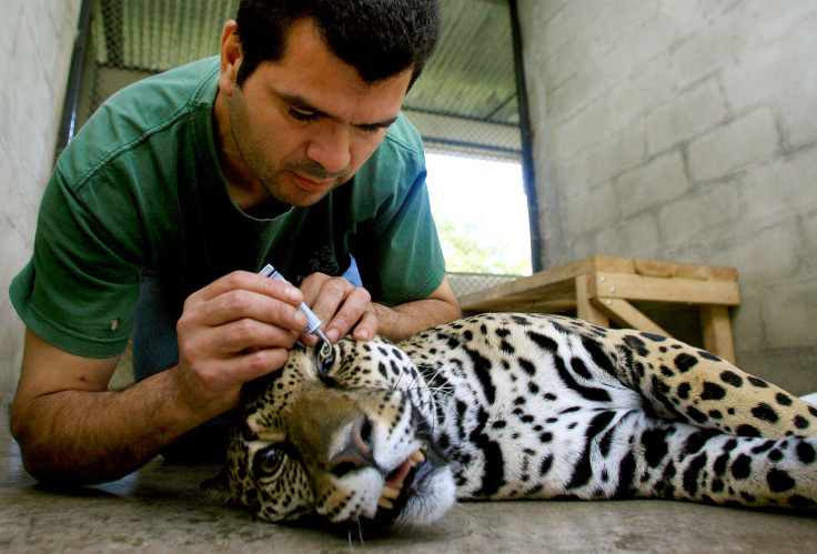 Costa Rica Zoo