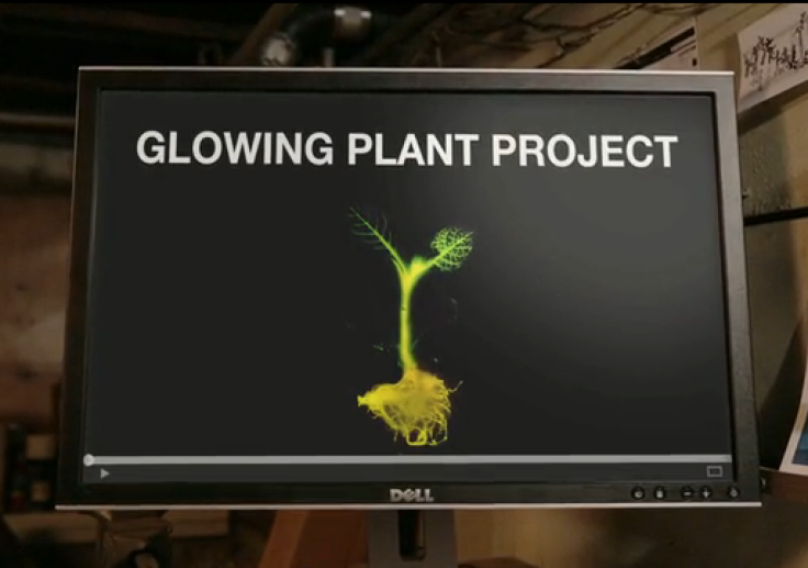 glowplant