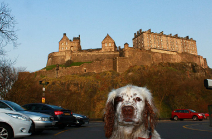 Touring Edinburgh By Dog: One Scotsman Finds His Way Home With The Help Of A Four-Legged Friend