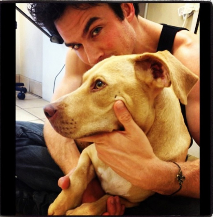 ian Somerhalder