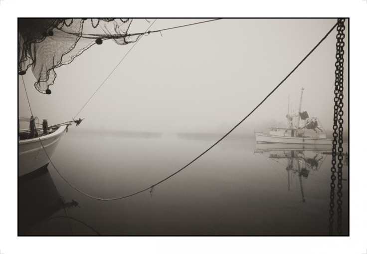 Apalachicola Bay by Richard Bickel