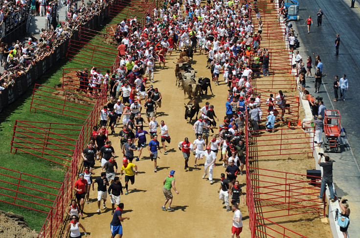 The Great Bull Run