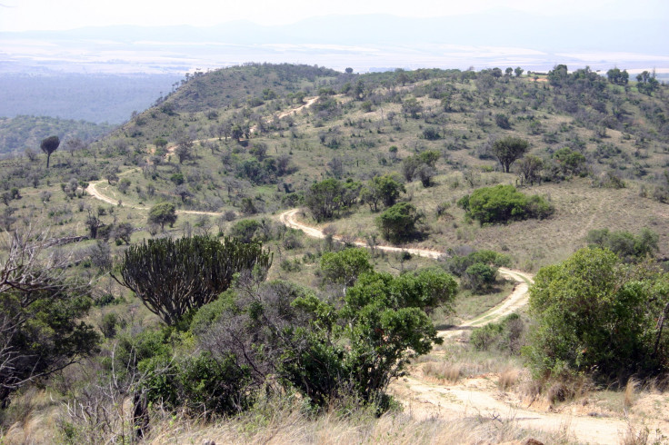 Lewa, Kenya