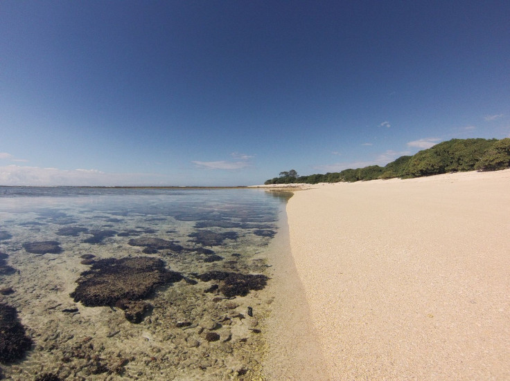 Lady Elliot Island