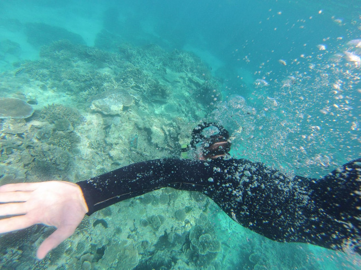 snorkeling great barrier reef