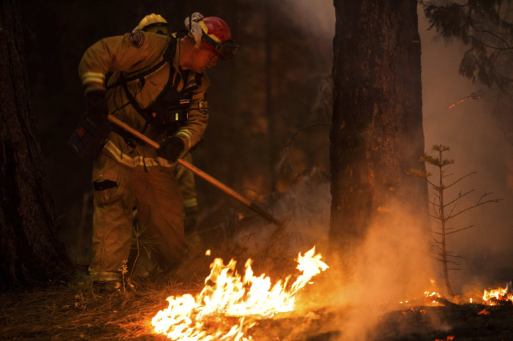 Rim Fire Yosemite National Park