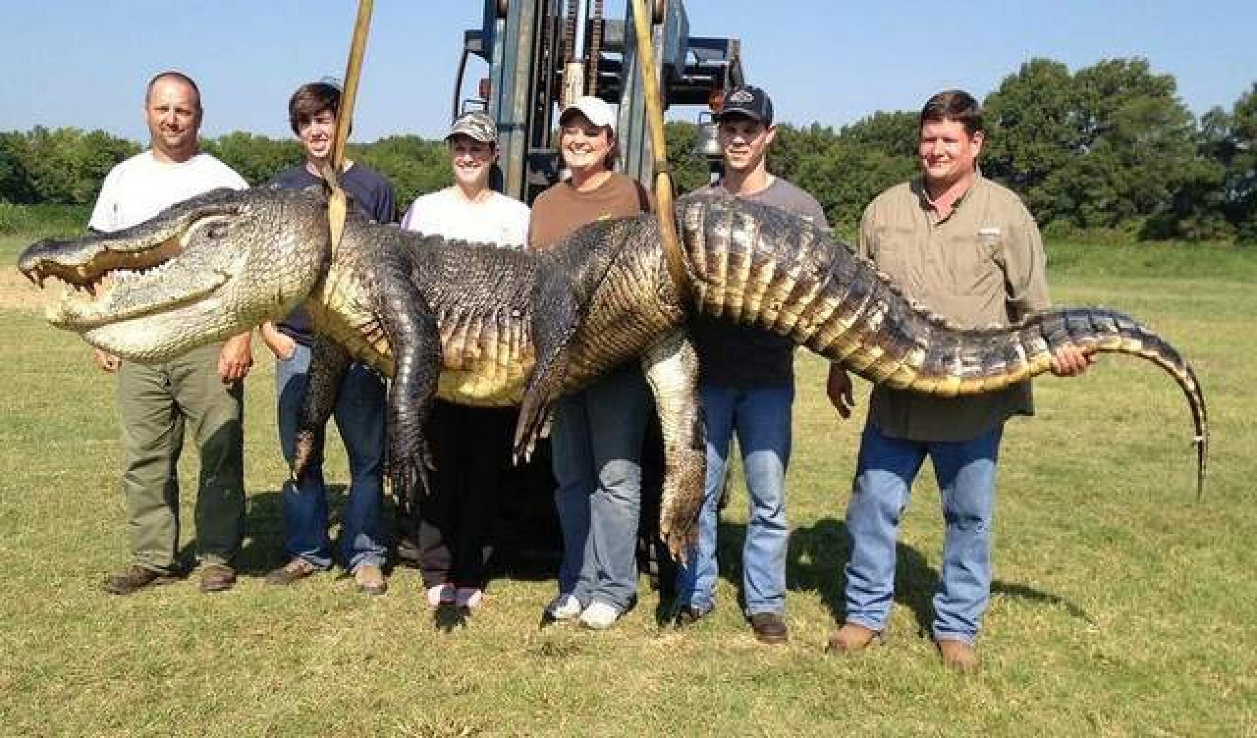 727Pound Alligator Hunters Capture Heaviest Alligator On Record In