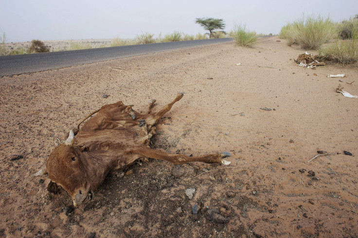 Sahara_DroughtFamine