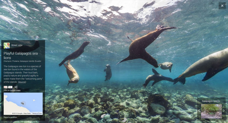 Galapagos Islands Google Street View