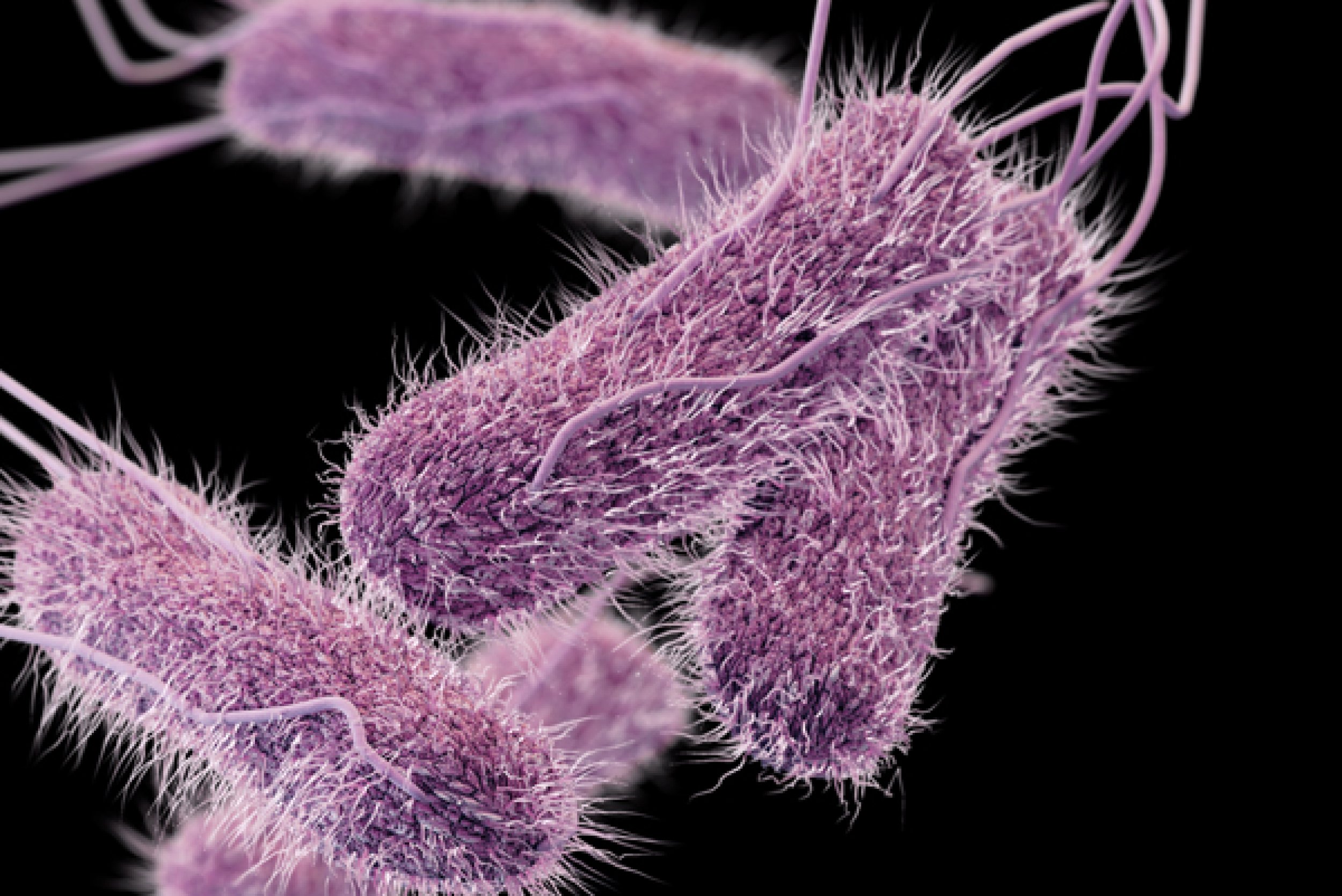 CDC To Track And Combat Antibiotic-Resistant 'Superbugs' | IBTimes