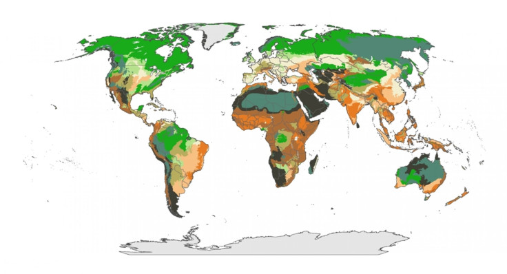 New-World-Map