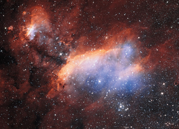 Prawn Nebula