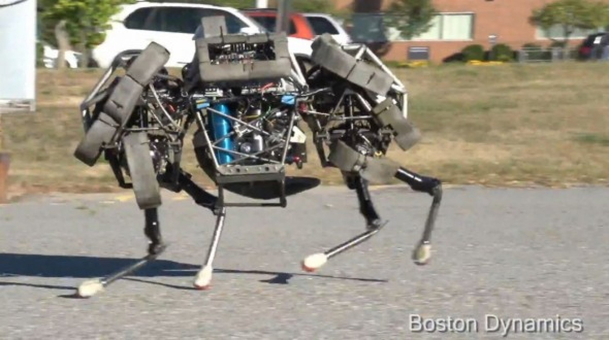 WildCat Robot: Meet The Creepy New Galloping Four-Legged Robot Created ...