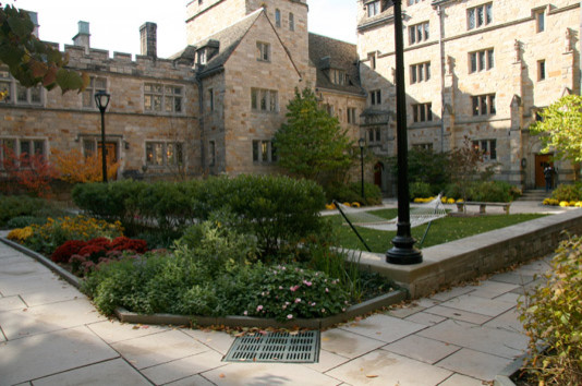 Yale Saybrook
