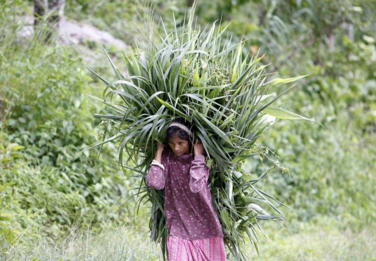 A woman carries grass to feed cattle at Rong Tong village near the eastern Indian hill town of Darjeeling J