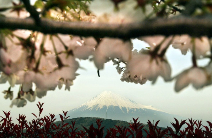 Mount Fuji (Japan) 