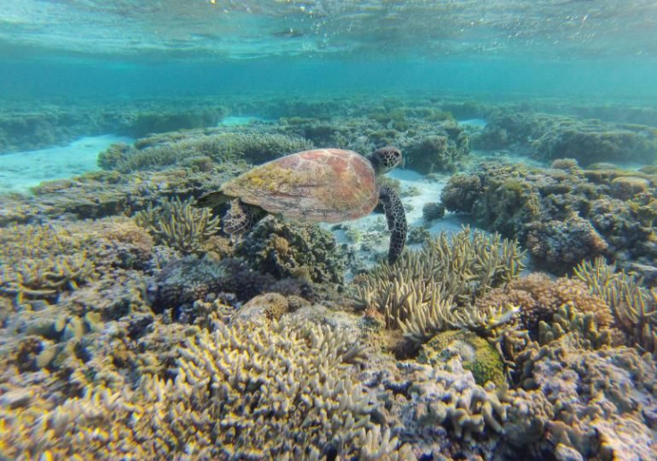 Great Barrier Reef (Australia) 