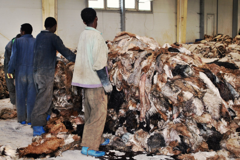 Employees Sort Hides at Addis Factory
