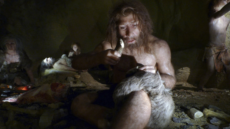 neanderthal-eat-animal-stomachs