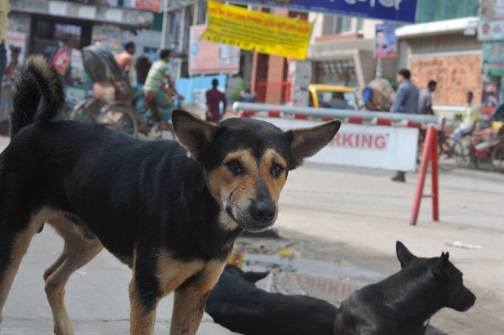 A street scene in Nikunja, Dhaka, Bangladesh