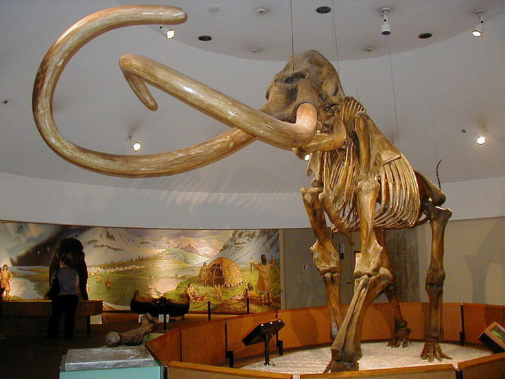 Columbian_mammoth