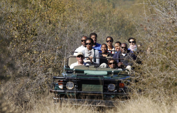 African Safari