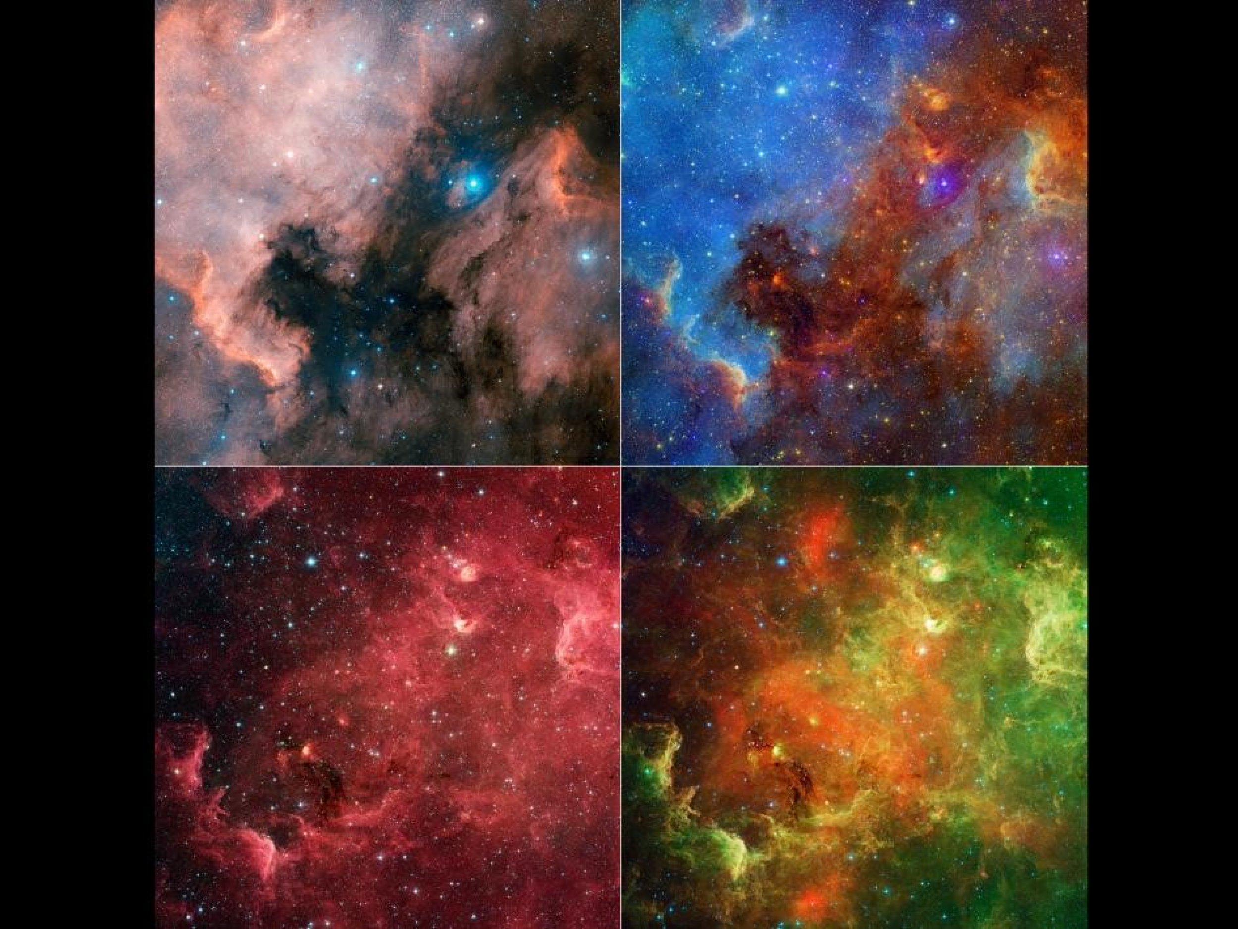 NASA reveals exclusive image of family life in North American nebula.
