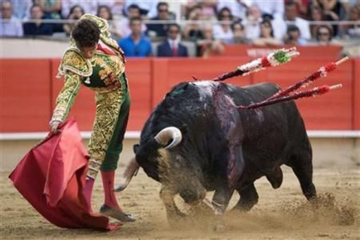 Bullfight