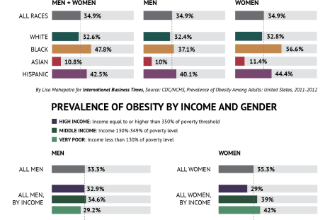 obesity, income, gender-01