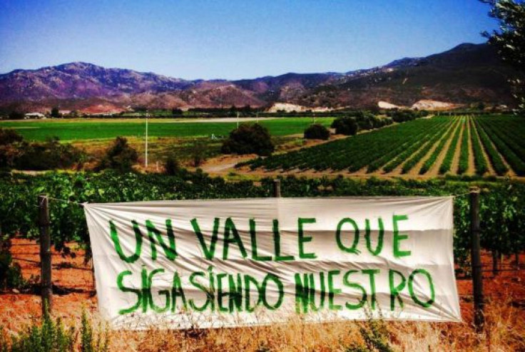 Guadalupe Valley, Mexico