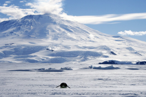 volcano_Antarctica