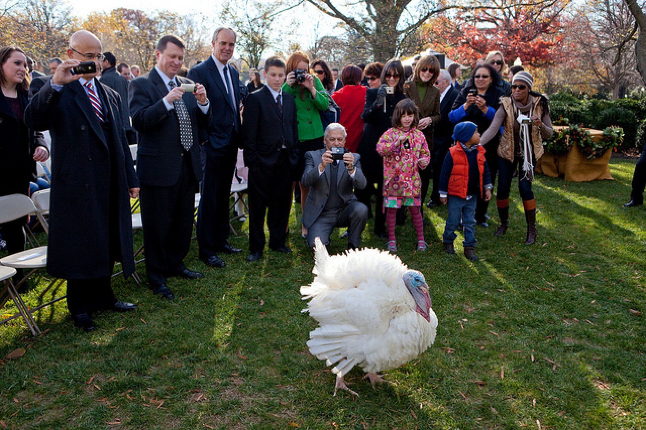 Presidential Thanksgiving Turkey Pardon 2013 Live Stream Info Tale Of The Tape For Popcorn And