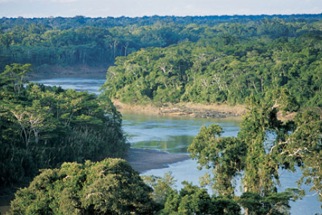 Peruvian Amazon