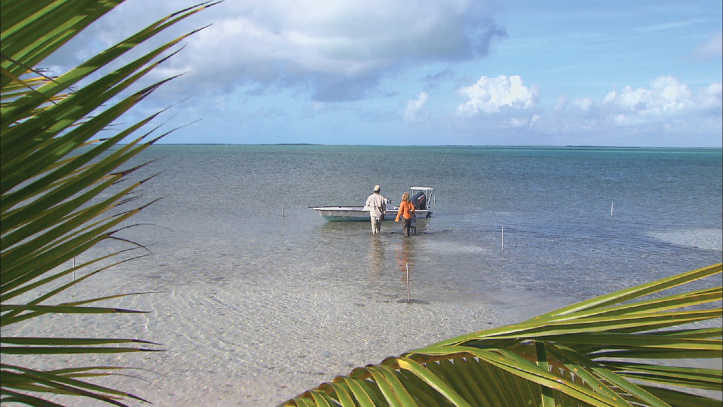 The Bahamas