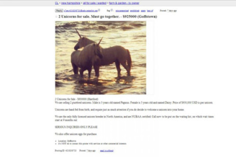 Unicorns For Sale On Craigslist? 