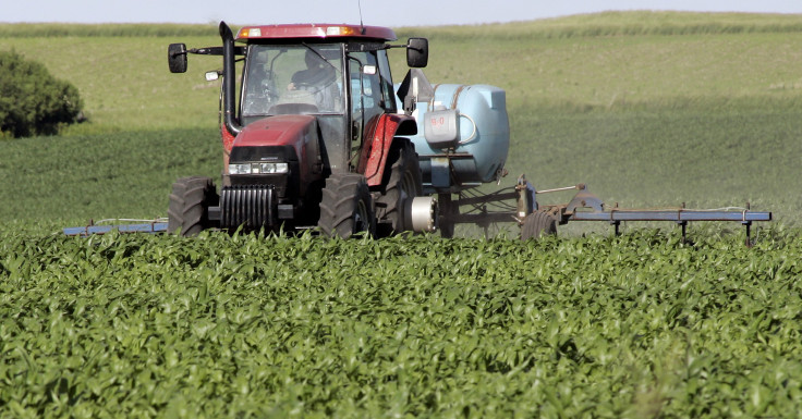 Iowa Corn Farm 2008