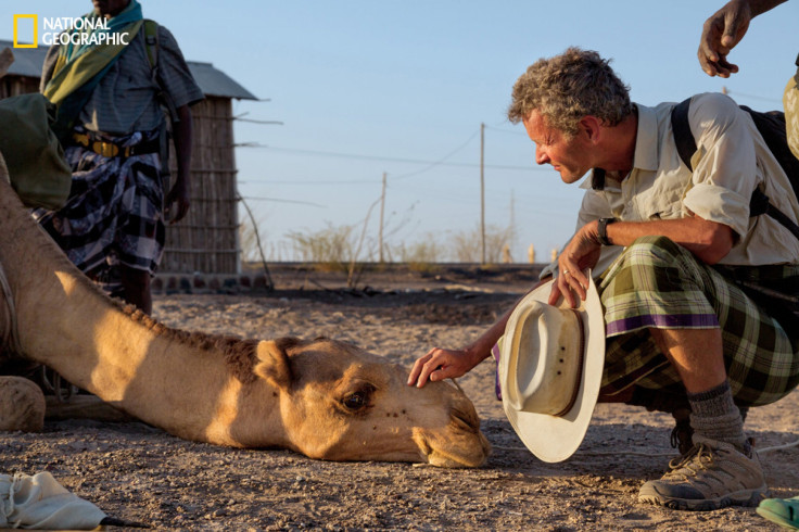 Paul Salopek and Camel