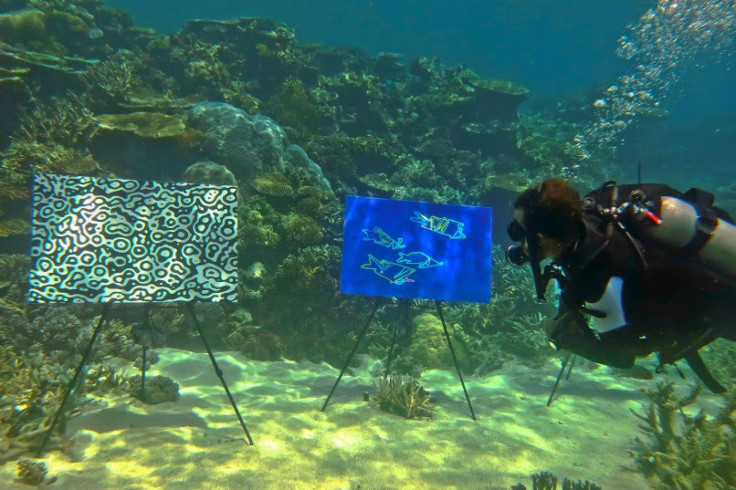 A diver plunges 4 metres to get a closer look at the underwater art