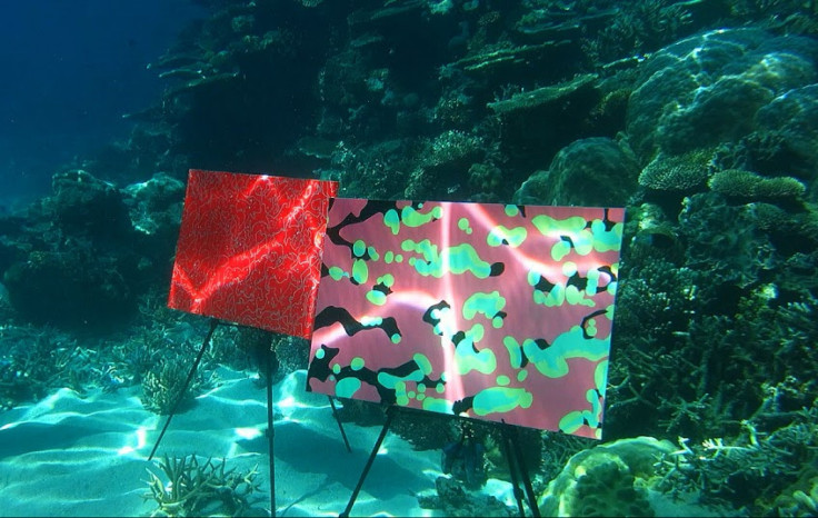 The paintings are mounted on special easels set up on the sea bed with fish and turtles swimming around them