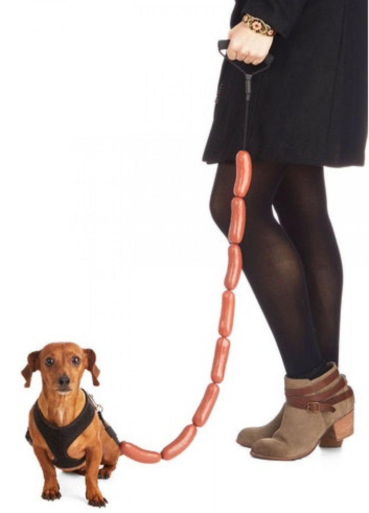 hot dog leash